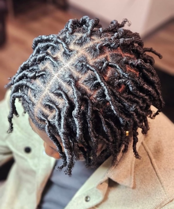 Large Starter Locs by Modesty Locs, Manchester CT