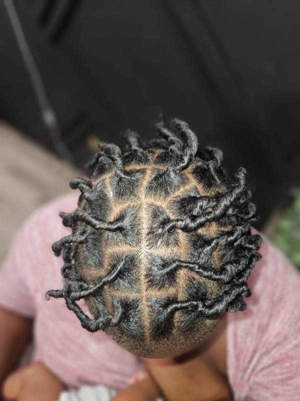 Large Starter Locs by Modesty Locs, Manchester CT