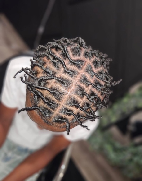 Large Starter Locs by Modesty Locs, Manchester CT