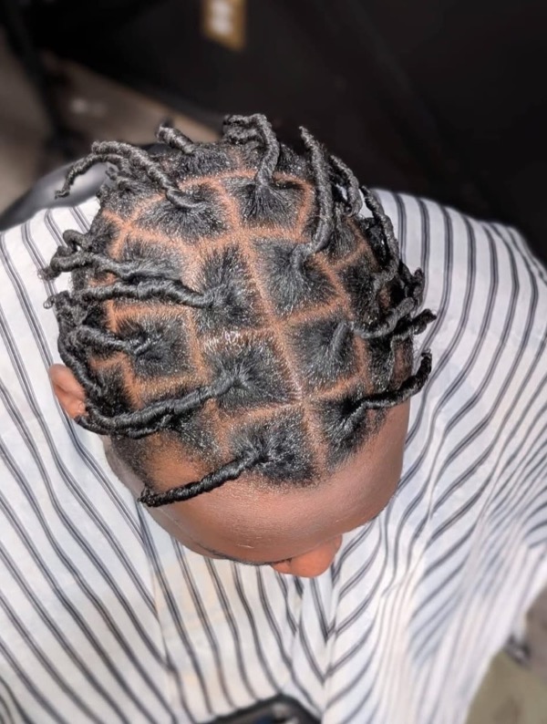 Large Starter Locs by Modesty Locs, Manchester CT