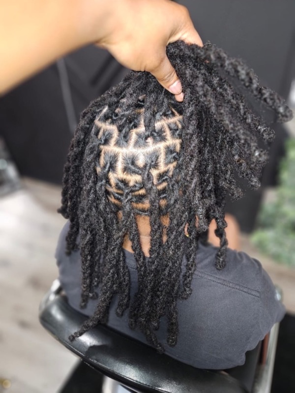 Medium Starter Locs by Modesty Locs, Manchester CT