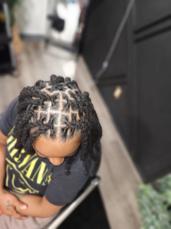 Medium Starter Locs by Modesty Locs, Manchester CT